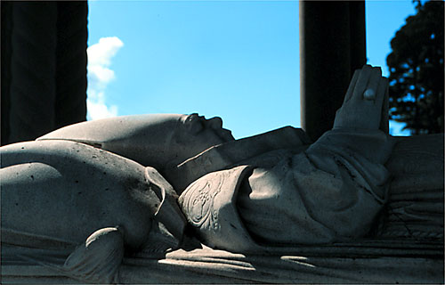 Cardinal McCabe